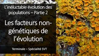 Miniature : Cours Spé SVT Terminale - Les facteurs non génétiques de l'évolution