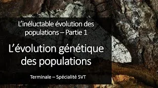 Miniature : Cours Spé SVT Terminale - Evolution génétique des populations