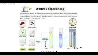 Miniature : Expériences historiques de digestion : viande riz salade