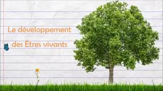 Miniature : Le développement des Êtres vivants