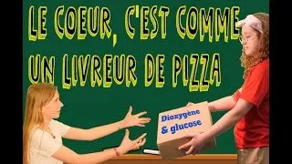 Miniature : 🔬 - Sport ou pas, ton cœur travaille sans arrêt (mais tu le savais déjà n'est-ce pas)