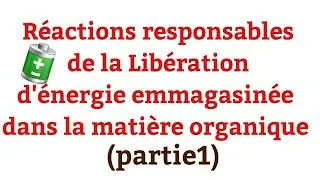 Miniature : Réactions responsables de la Libération d'énergie emmagasinée dans la matière organique (partie1)
