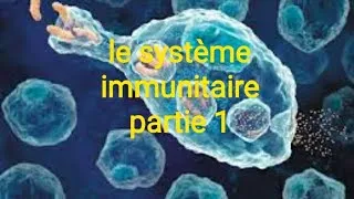 Miniature : SVT Bac international : Le système immunitaire :Le soi et le non soi( partie 1)