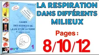 Miniature : Azzedine Alami SVT 1AC Page 8,10,12 😉 la respiration dans différents milieux