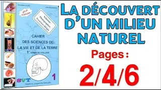 Miniature : Azzedine Alami SVT 1AC Page 2,4,6 🏵️ la découvert d'un milieu naturel🏵️