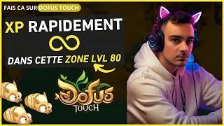 Miniature : DOFUS TOUCH : 10M D'XP/H Dans Cette ZONE OUBLIÉE LVL 80 ! (Astuce XP)