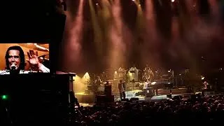 Miniature : Nick Cave & the Bad Seeds - Hollywood - Arènes de Nîmes - 14/07/2026