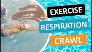 Miniature : Apprendre la Respiration en Crawl