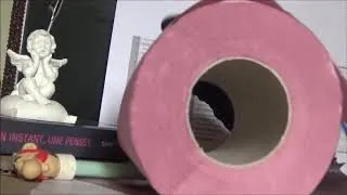 Miniature : Paloma écolo- Quel papier toilette choisir ? #POUCEd'or2019