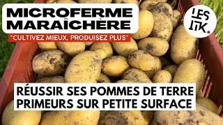 Miniature : 5 étapes clés pour maîtriser la culture de la pomme de terre primeur