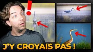 Miniature : Le micro 4/3 est-il SOUS-CÔTÉ en photo ANIMALIÈRE ?