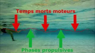 Miniature : Analyse de nage HUDO Simon L2 STAPS éducation motricité groupe n°1