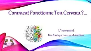 Miniature : Comment Fonctionne Votre Cerveau ?