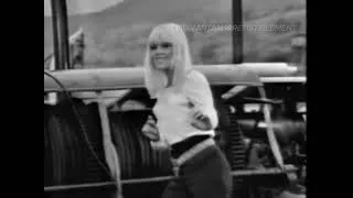 Miniature : Sylvie Vartan Un peu de tendresse   Un bon mois d'été émission rdv sur le Rhin