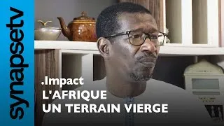 Miniature : Mary teuw Niane -  L'Afrique un terrain vierge