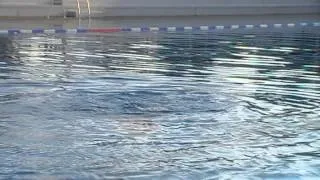 Miniature : Gala de l'Equipe de France Junior à Vichy 2014 - Solo France (2)