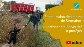 Miniature : Restauration des mares de Sermaise : un trésor de biodiversité à protéger