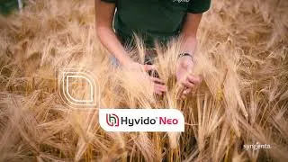Miniature : HYVIDO® NEO : la technologie RYd4 qui révolutionne l'orge hybride
