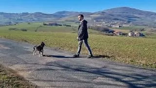 Miniature : Explication de l'approche éthologique de l'éducation canine
