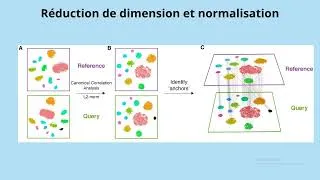 Miniature : Effet batch