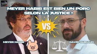 Miniature : Meyer HABIB est bien un porc selon la justice, David Guiraud relaxé !