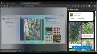 Miniature : Recherche visuelle sur Microsoft Edge / recherche par image