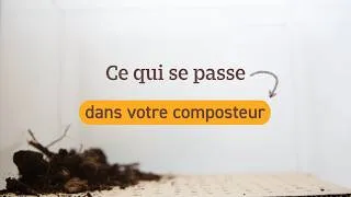 Miniature : Que se passe-t-il dans un composteur ? 2 mois en 1 minute