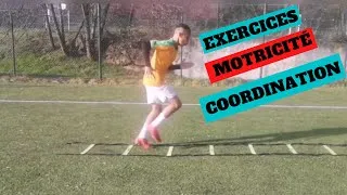Miniature : séance motricité /coordination