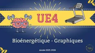 Miniature : UE4 - Bioénergétique  - Les graphiques