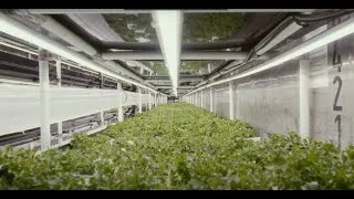 Miniature : Dynamisme régional - La Boîte Maraîchère: 800 000 laitues cultivées en hydroponie!