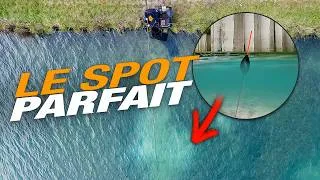 Miniature : CARTON en CANAL en EAU CLAIRE !