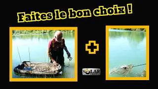 Miniature : Prenez soin de vos carpes