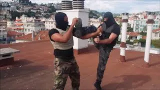 Miniature : Si vis pacem ... para bellum (2)