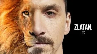 Miniature : ZLATAN IBRAHIMOVIC, L'INCROYABLE.