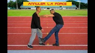Miniature : Taiji interne: Annuler la force
