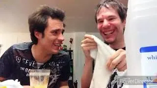 Miniature : jackass entre ami