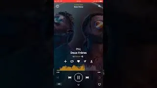 Miniature : Pnl- deux frère (son officiel)