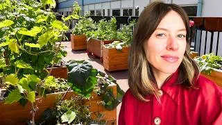 Miniature : J’ai transformé une cour bétonnée en jungle comestible