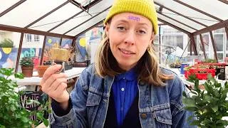 Miniature : On a vandalisé ma serre