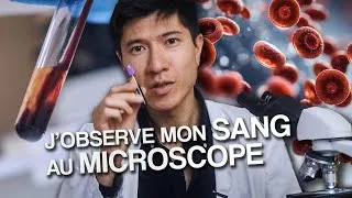 Miniature : J'observe mon sang au microscope ! Avec @Monsieurlechat94