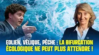 Miniature : Eolien, vélique, pêche : la bifurcation écologique ne peut plus attendre !