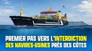 Miniature : Premier pas vers l'interdiction des navires-usines près des côtes.