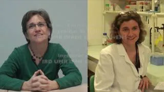 Miniature : Ingénieur de recherche & d'études - Marie-Christine Combes & Agnès Pinel