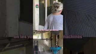Miniature : Visitez le Moulin d'Opio et découvrez les secrets de la fabrication de l'huile d'olive !