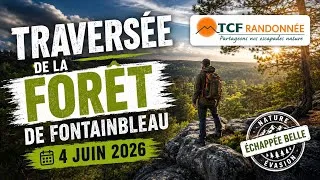 Miniature : Traversée de la forêt de Fontainbleau, juin 2026