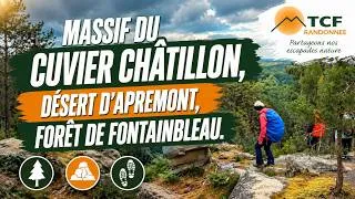 Miniature : Au dessus du Cuvier Chatillon, Fontainbleau, par Evelyne Wosinski, 14 avril 2026