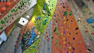 Miniature : El Cap (16/07/2023) - TDF Escalade