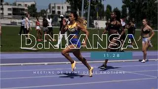 Miniature : Meeting St-Denis Emotions - 100m TCF