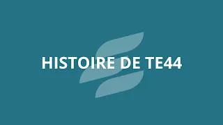 Miniature : TE44 à travers les années : l’évolution d’un acteur clé de l’énergie en Loire-Atlantique ⚡