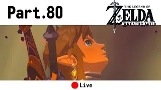 Miniature : J'ai glissé chef ! | Zelda Breath of the Wild - Part. 80